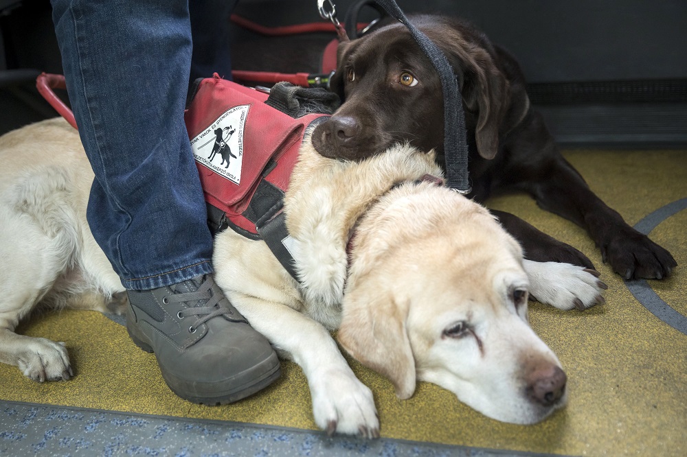 Akadálymentes lesz a nemzeti konzultáció