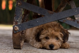 Fotó: shutterstock.com, illusztráció