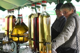 Fotó: MTI (archív, illusztráció)