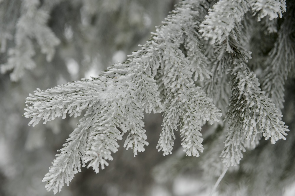 Téliesre fordul az időjárás az új év első hetében
