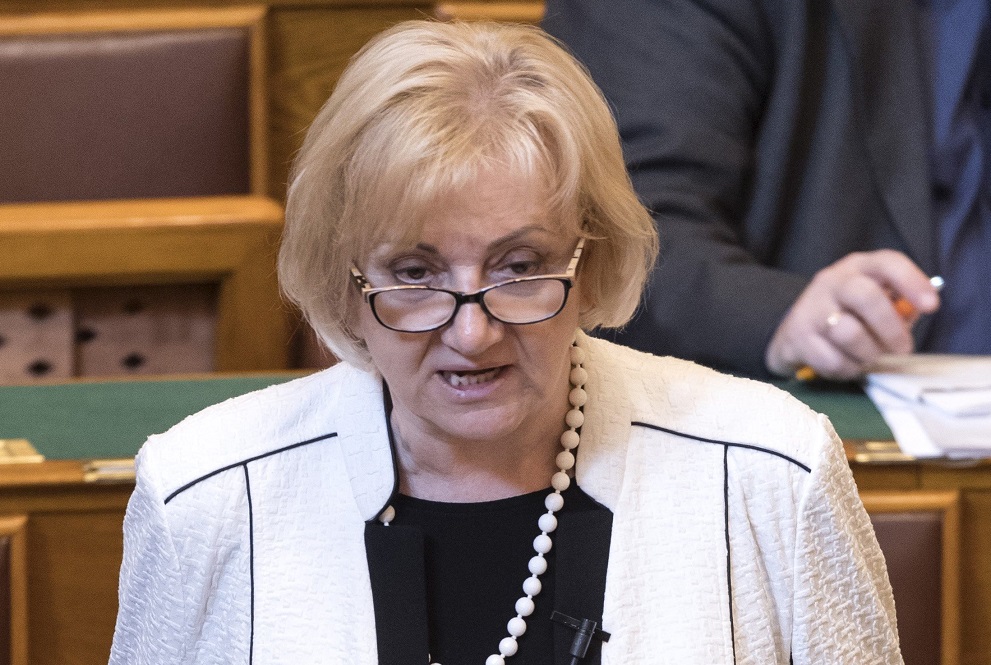 A tüntetői erőszakról is a kormány tehet az LMP szerint