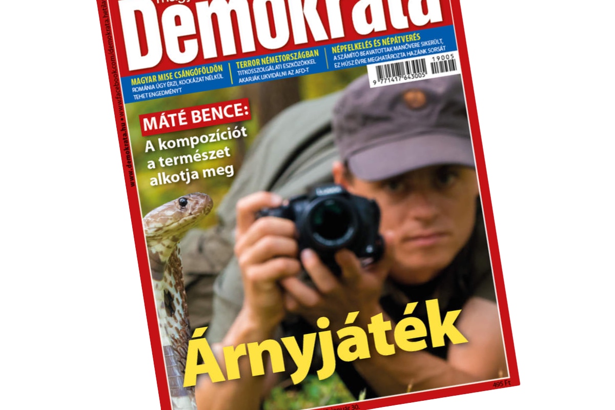 Árnyjáték