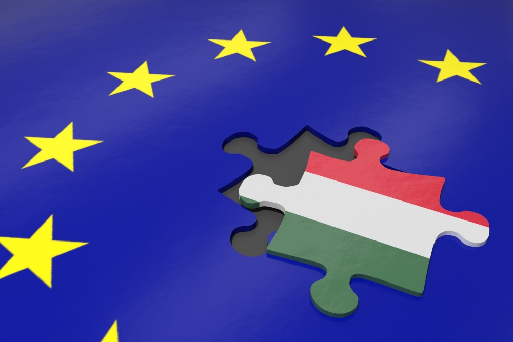 A vita egy kutyakomédia volt