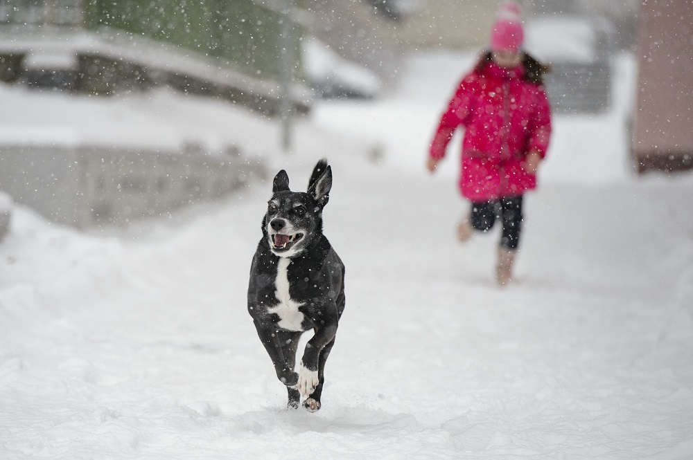 Továbbra is télies lesz az időjárás