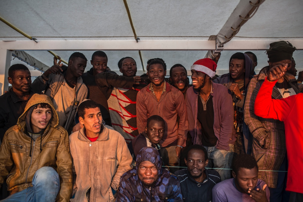 Értelem és ösztön