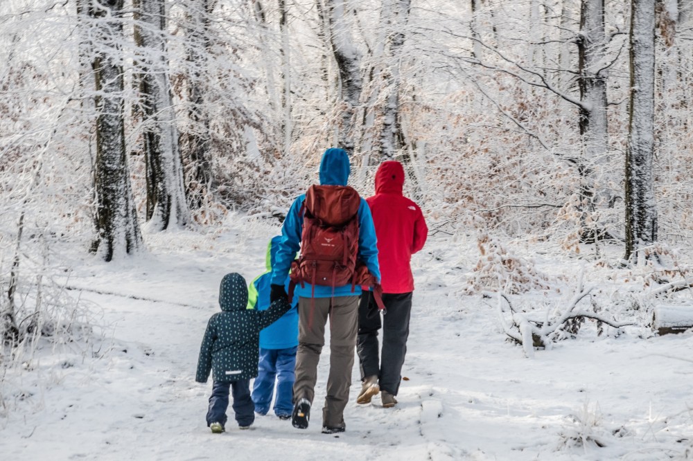 Milliárdos fejlesztés a parkerdőben