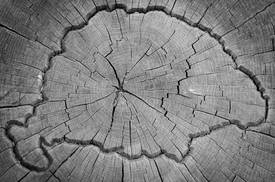 Fotó: shutterstock.com, illusztráció