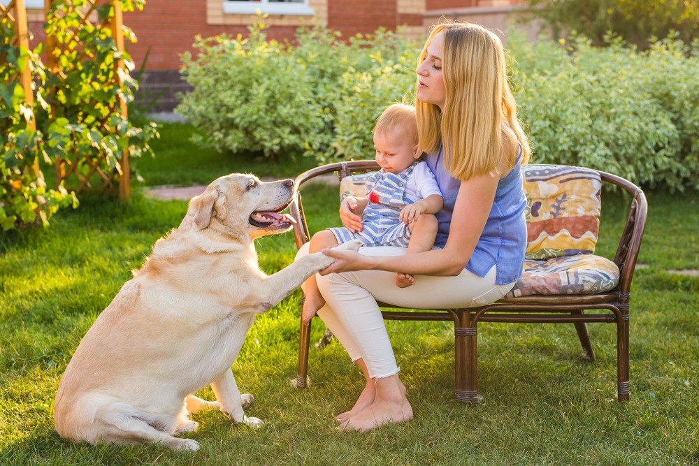 A kisgyermekes édesanyák egyetértenek az akciótervvel