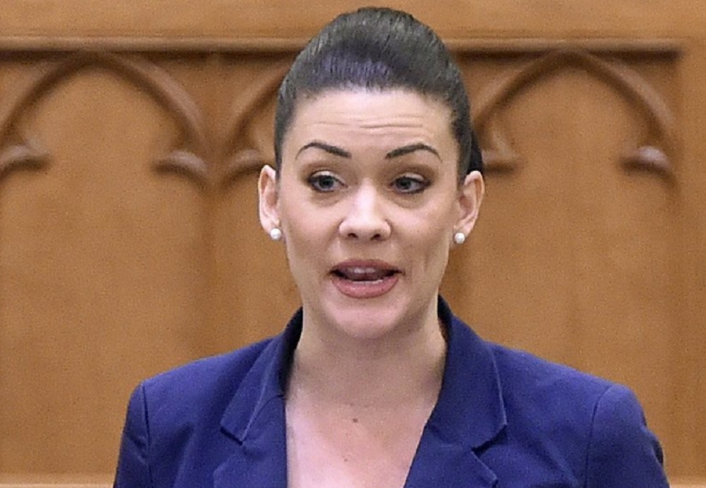 Ellenzéki összefogás Demeter Mártáért