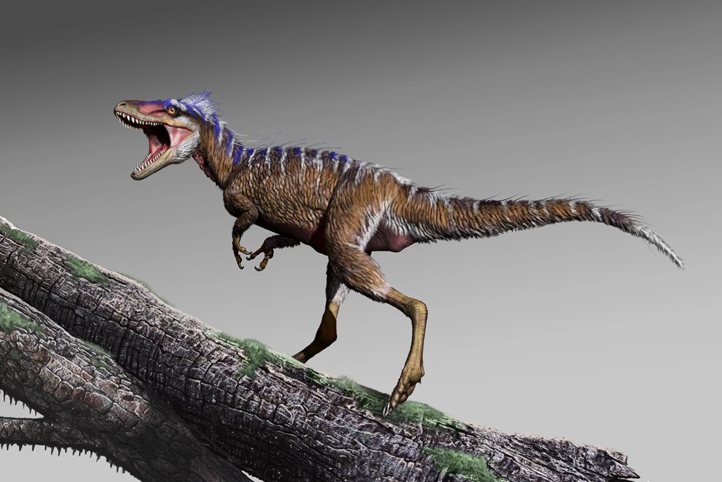 Apró dinoszaurusz maradványaira bukkantak