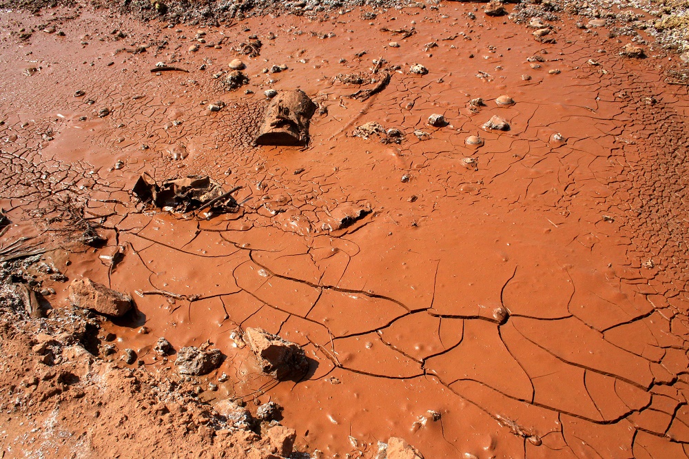 Tíz vádlottat bűnösnek mondott ki a Győri Törvényszék