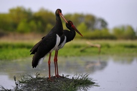 Fotó: MTI, archív, illusztráció