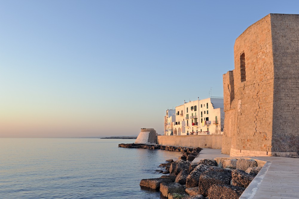 Különleges korallzátonyt fedeztek fel