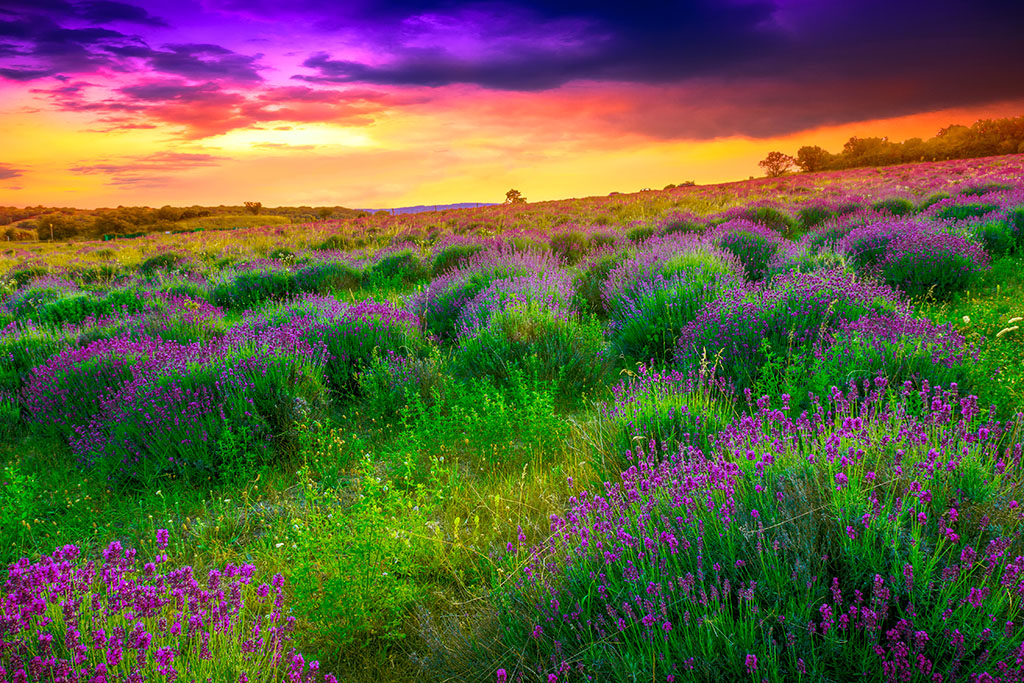 Magyarország a klímavédelem mellett