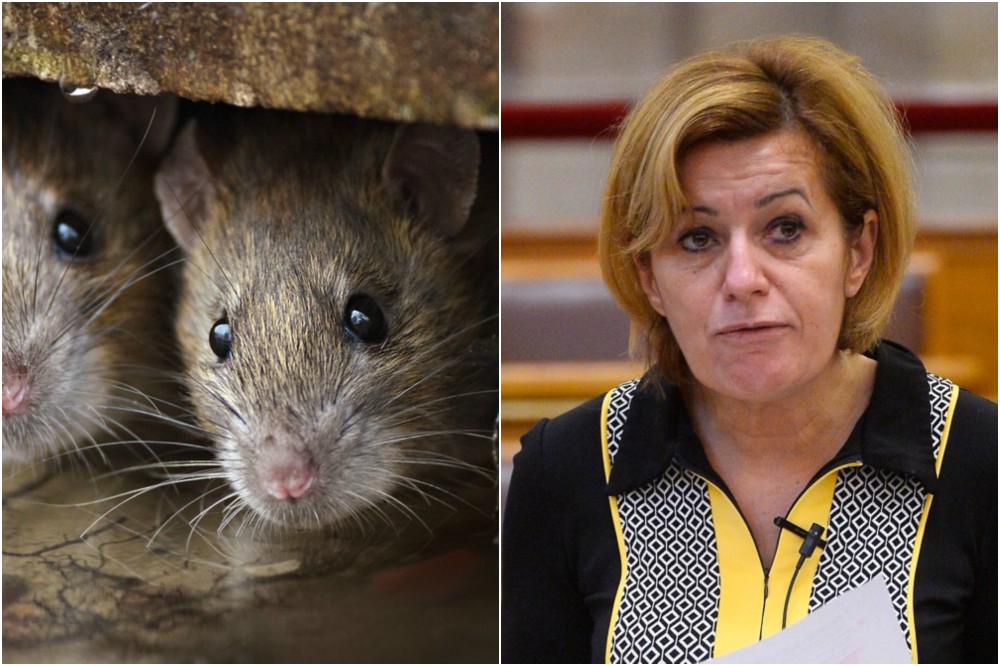 Bangónénak távoznia kell a közéletből