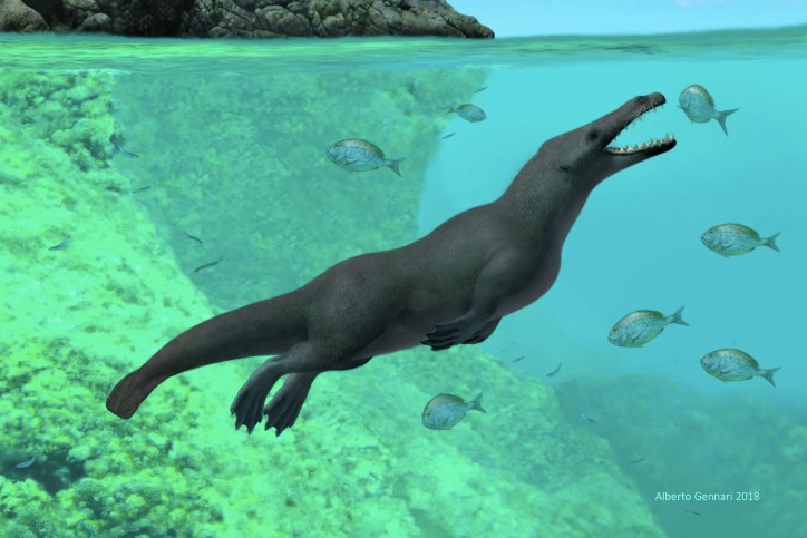 Az ősi négylábú bálna útja