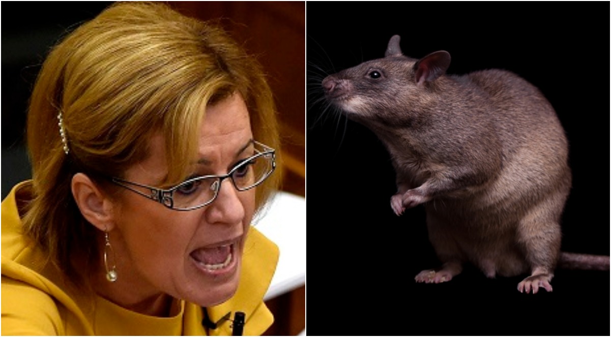 Szétszedik az MSZP-t az ellenzéki pártok