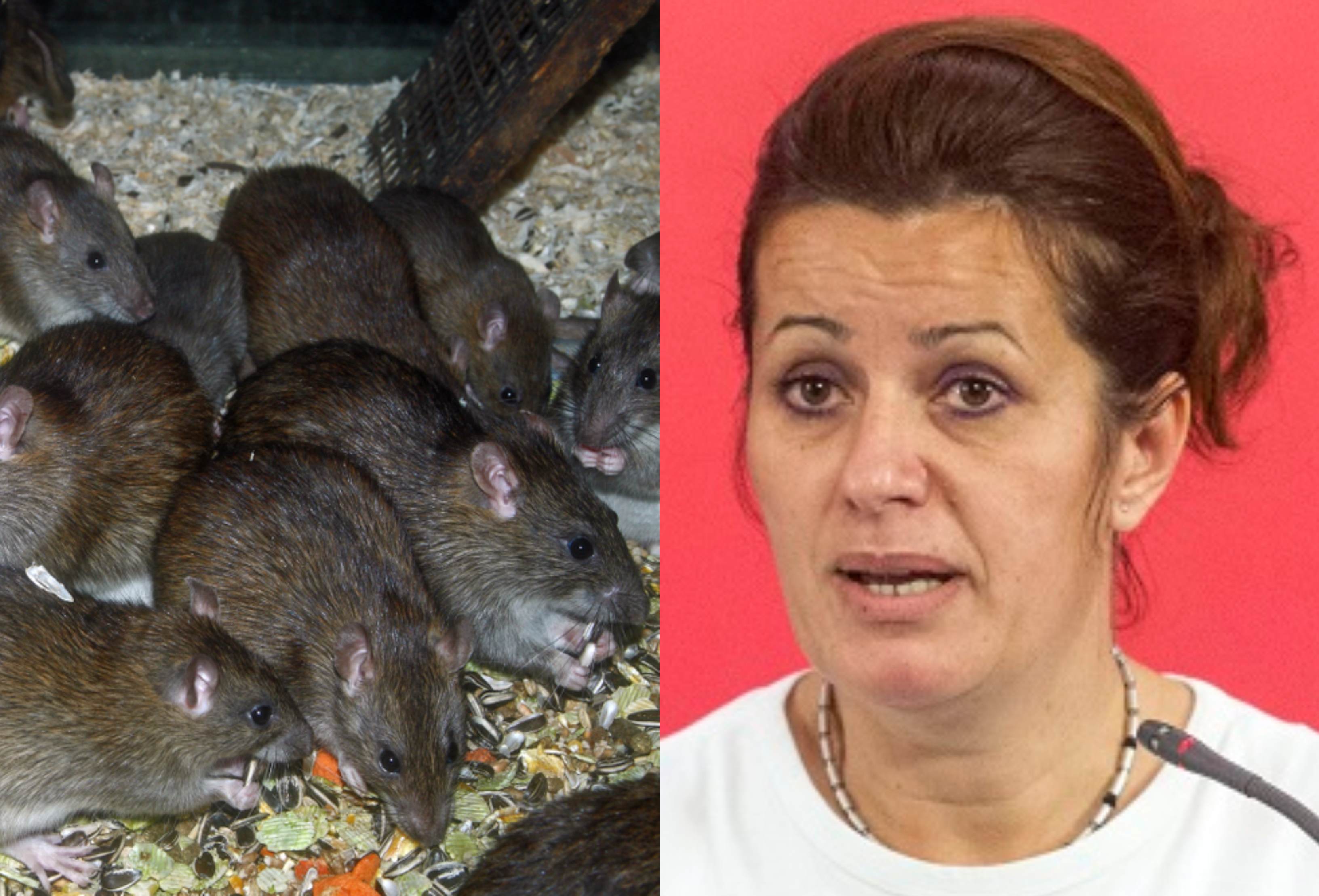 Tízből kilenc ember számára egyértelmű, mit mondott Bangóné