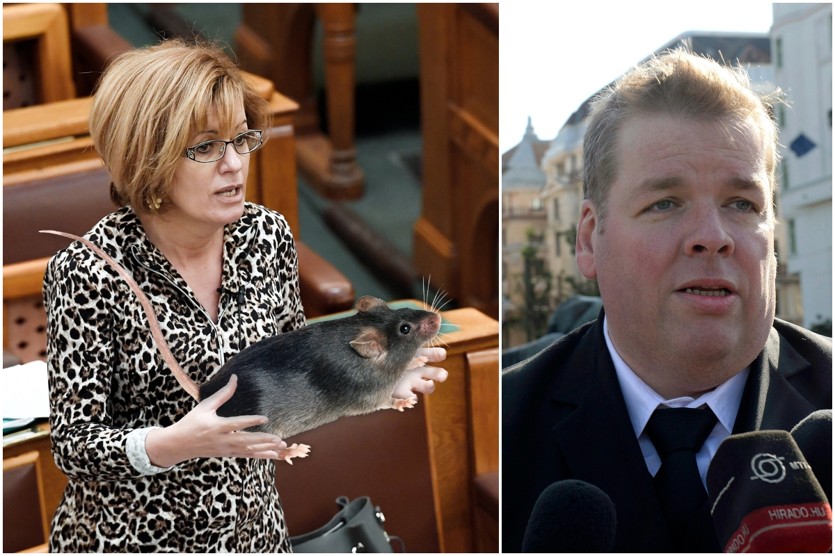 Schmuck Andor tippet adott Bangónénak patkányügyben