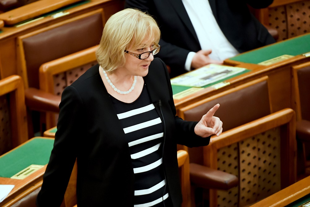 Schmuck szerint a kormányt nem érdekli a Föld sorsa