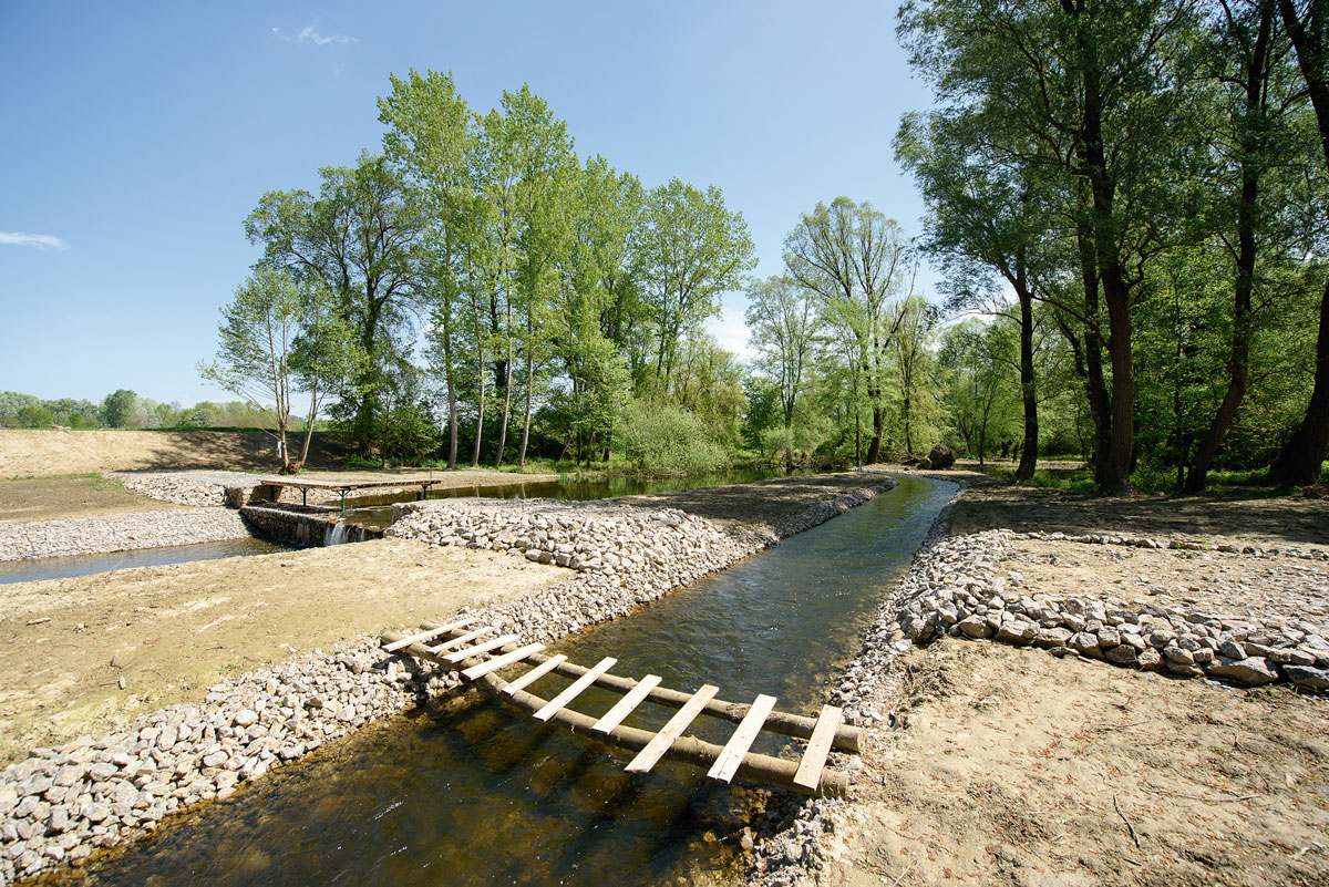 A barcsi Ó-Dráva megmentése