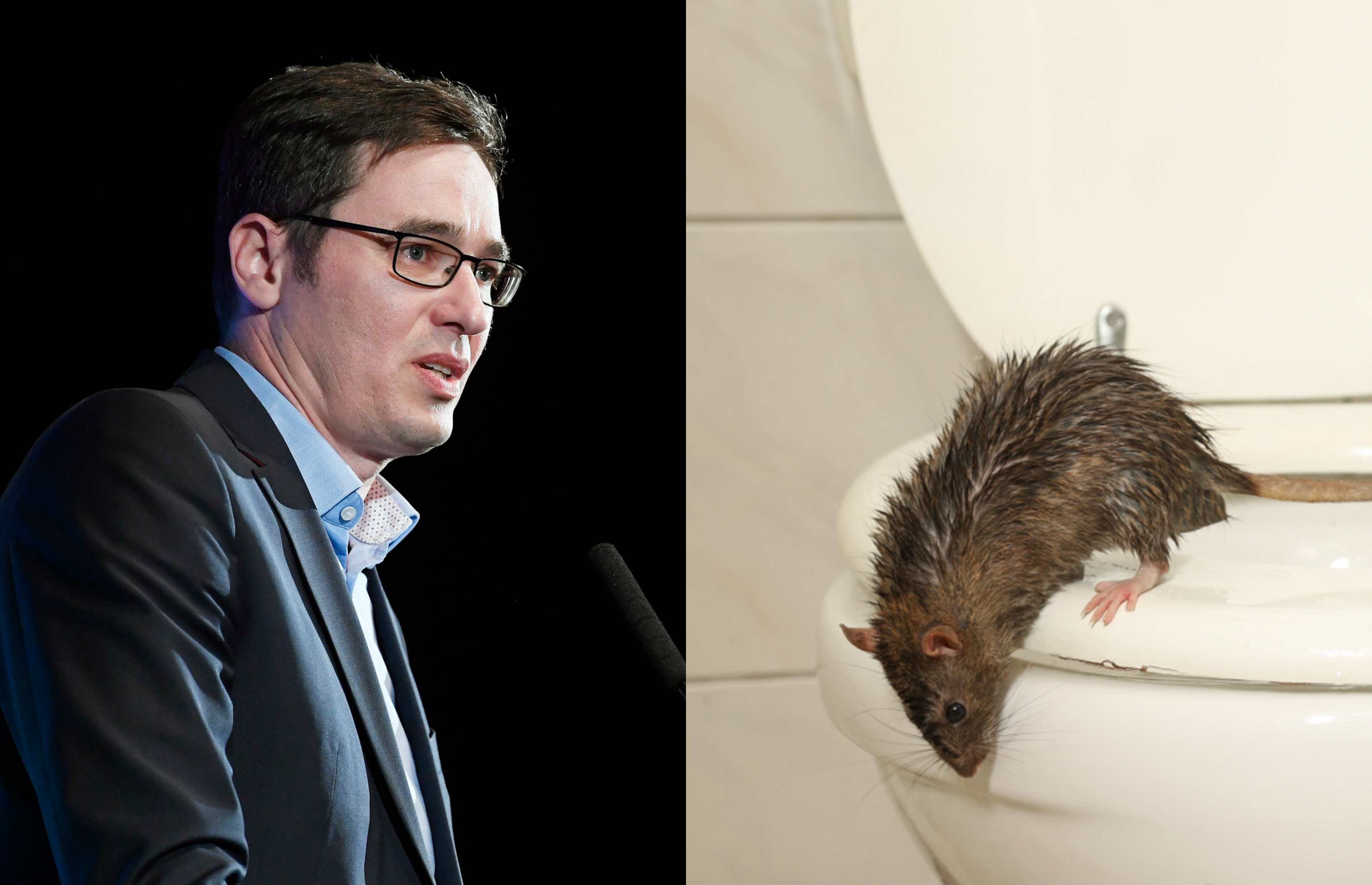Karácsony: „nem tudjuk, mekkora problémát jelent a patkányinvázió”