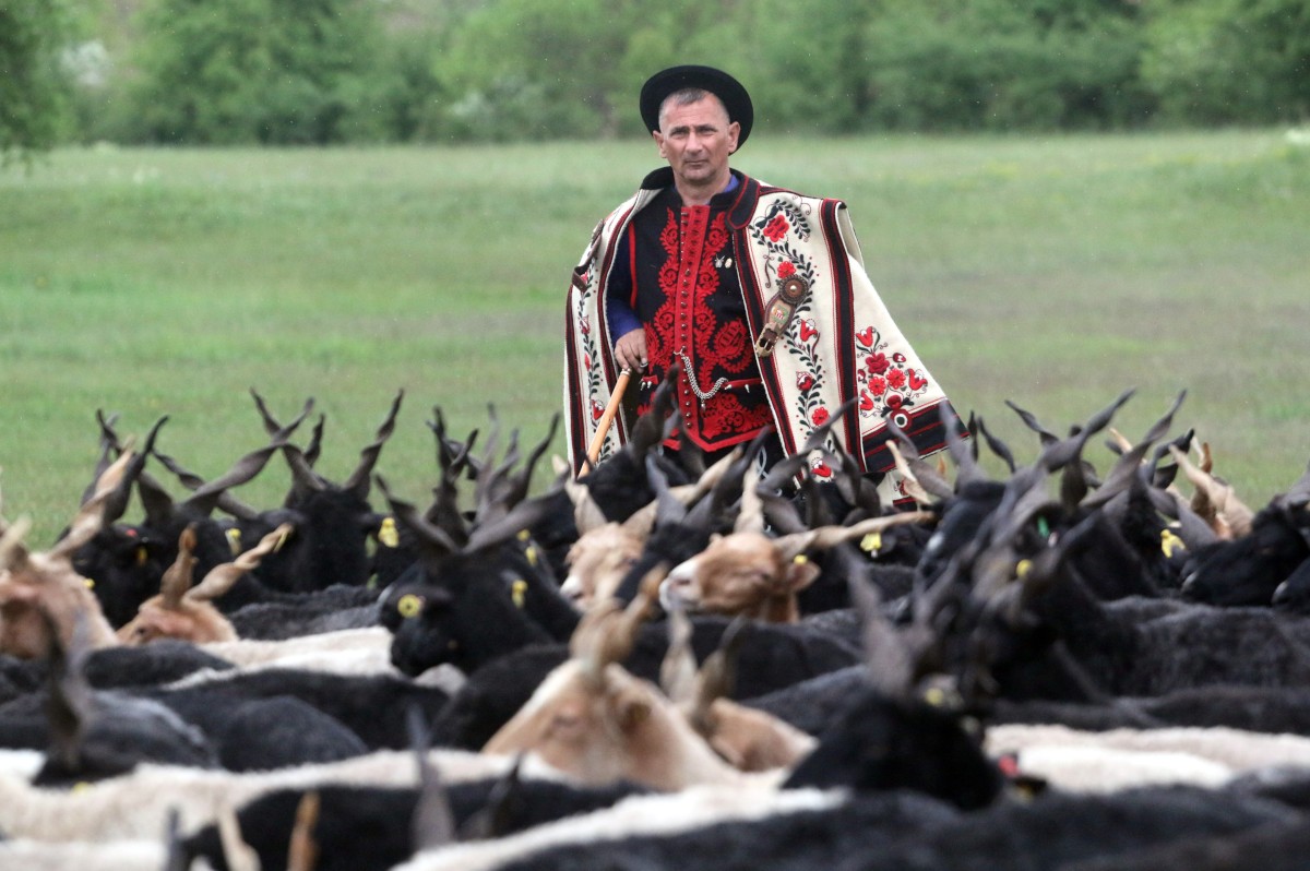 Élővé válnak a régi tradíciók