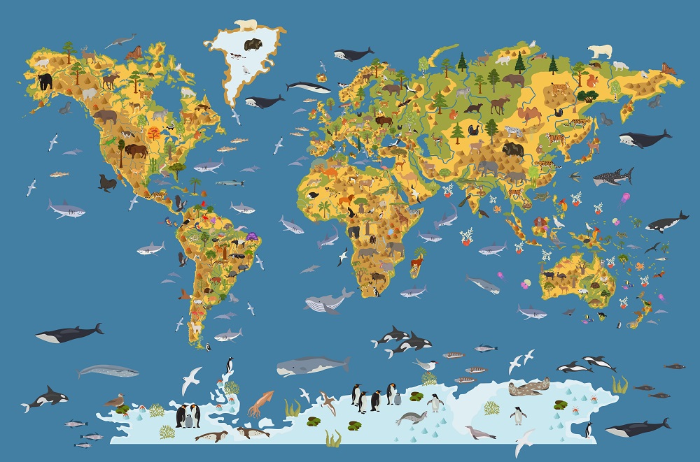 Egymillió fajt fenyeget a kihalás