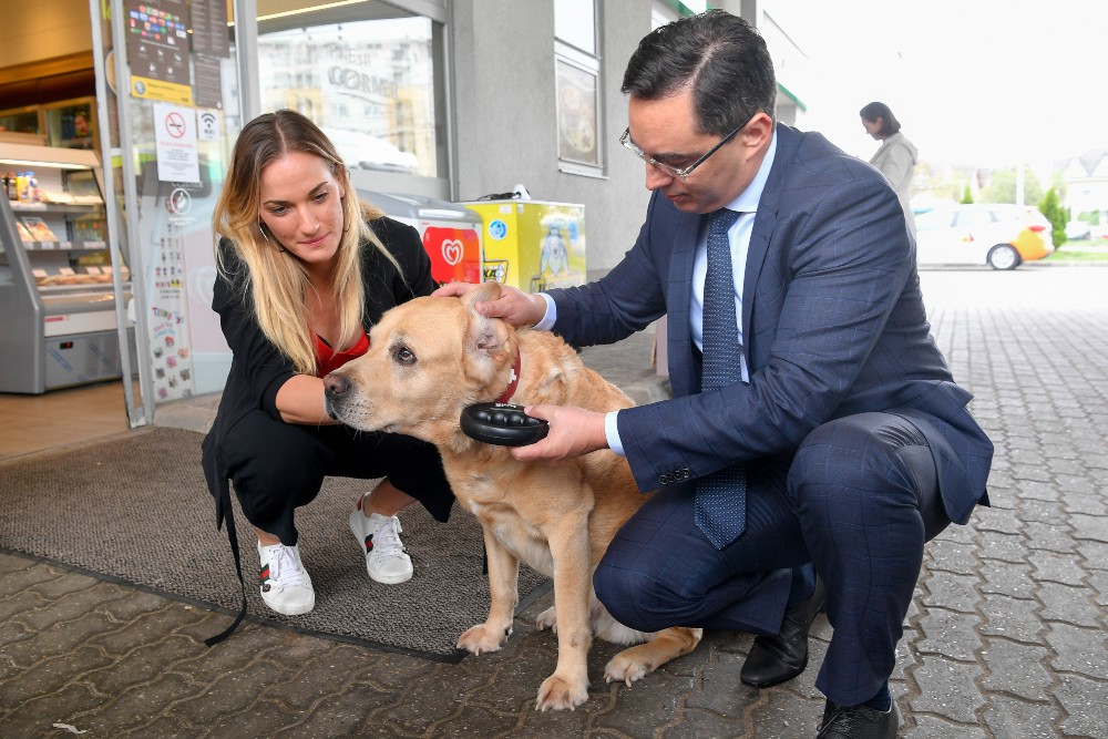 Ismét Papp László lehet a Fidesz jelöltje Debrecenben
