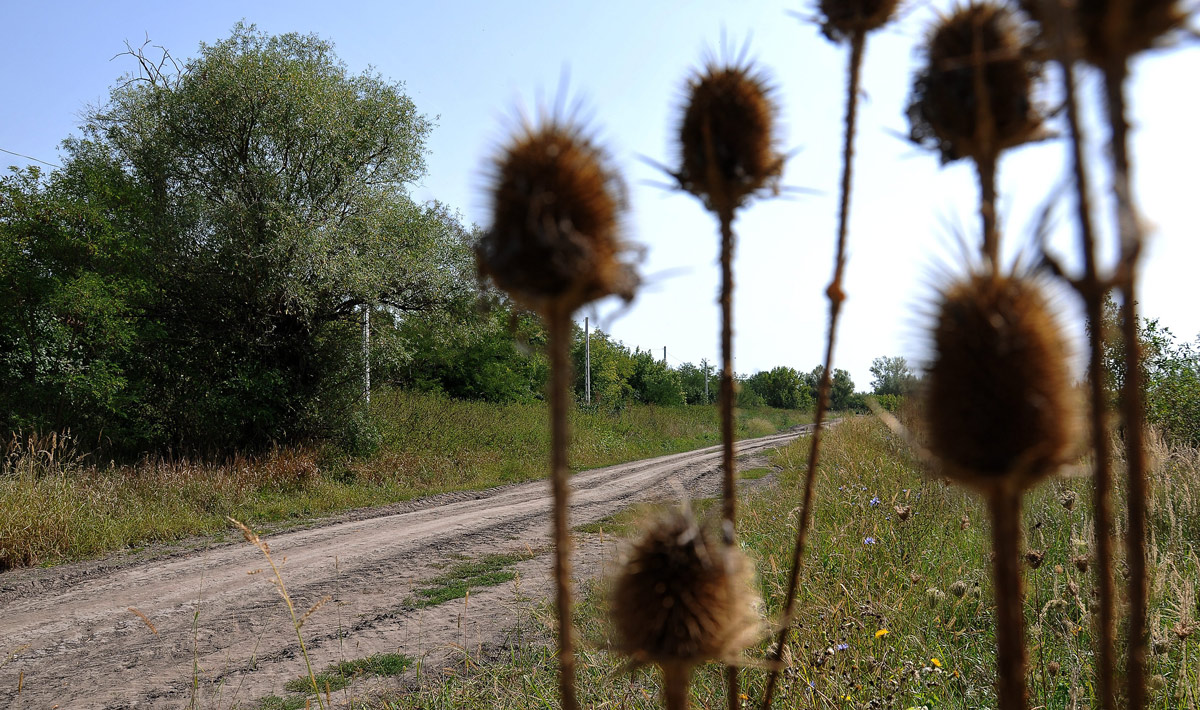 A fővárosi földutak ötödét még idén leaszfaltozzák