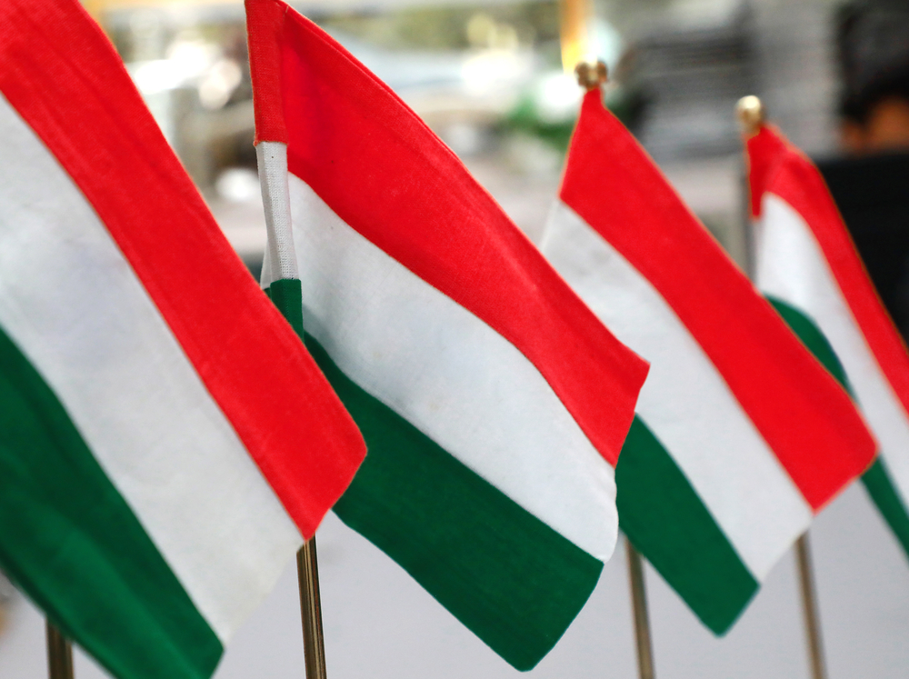 Egyetemi együttműködés a magyar nyelvű oktatásért