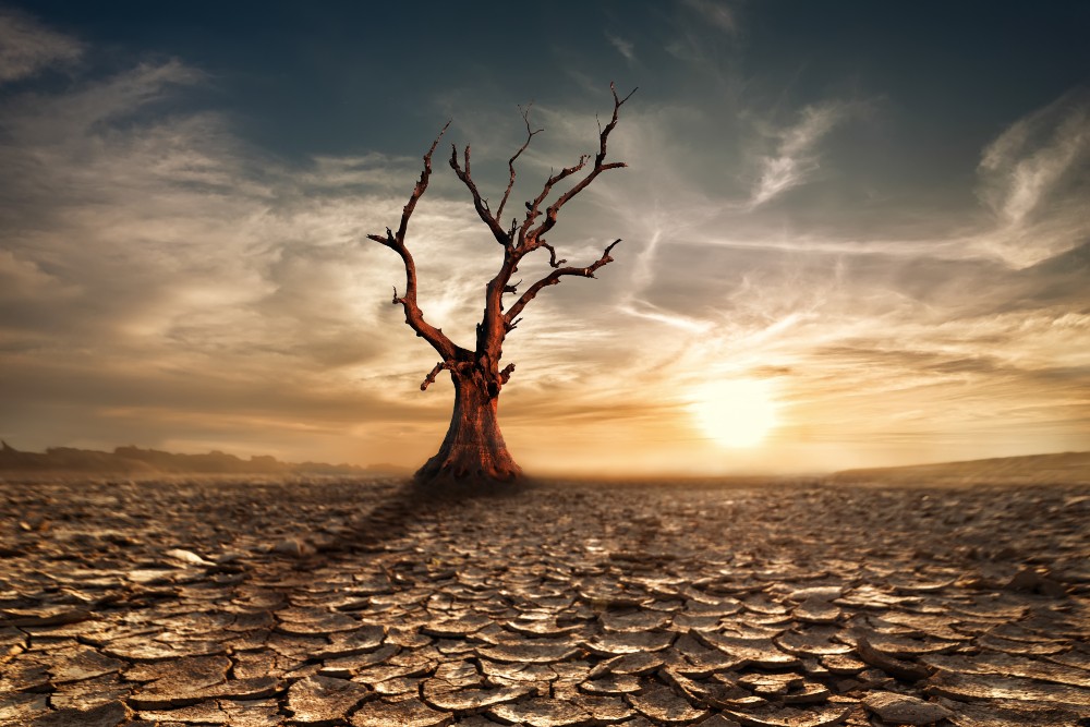 Több milliárd eurós kár