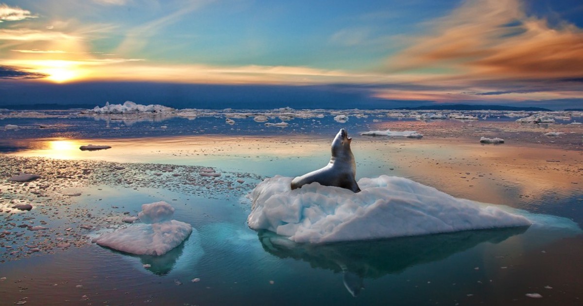 Donald Trump megerősítette az Egyesült Államok igényét Grönlandra