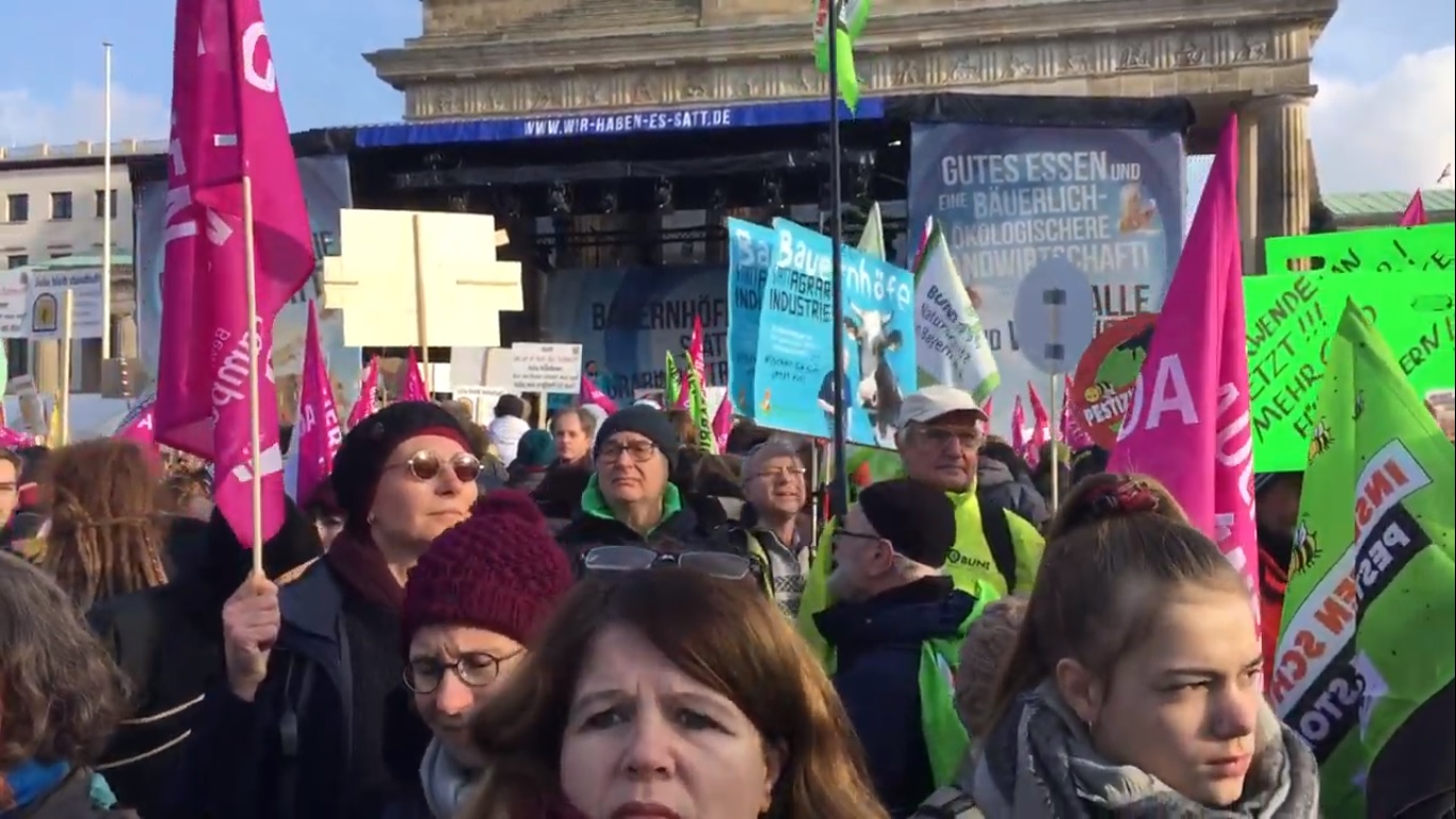 Húsadót sürgetnek a német állatvédők