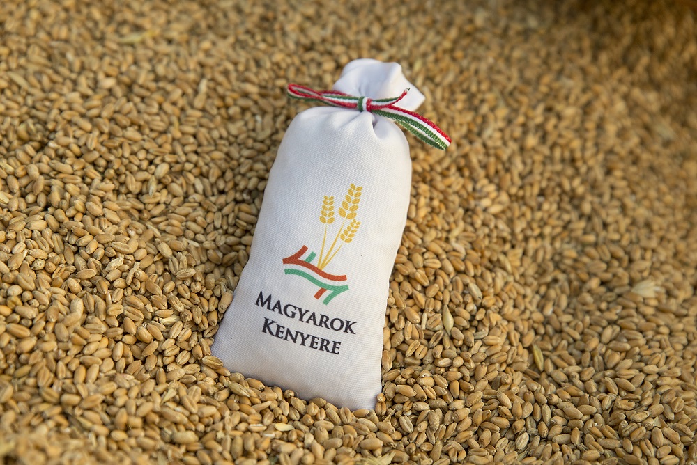 A Magyarok Kenyere program az egyik legsikeresebb jótékonysági összefogás