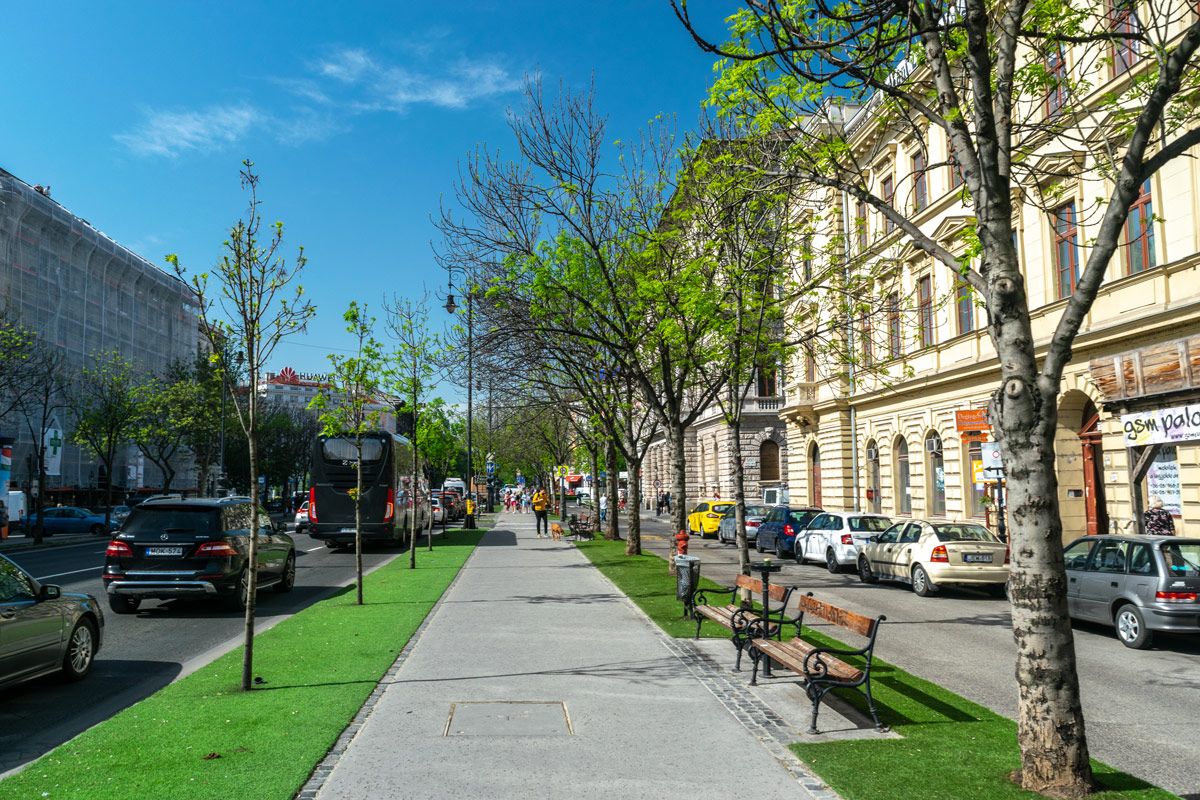 A Főkert megkezdte az egyeztetést az Andrássy úti fákért
