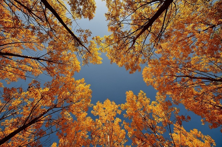 Markáns hidegfront érkezik a jövő héten