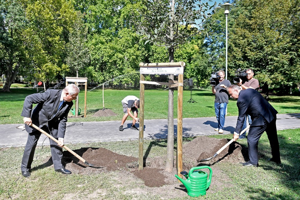 Tordai Tarlós Istvánnal kötekedett