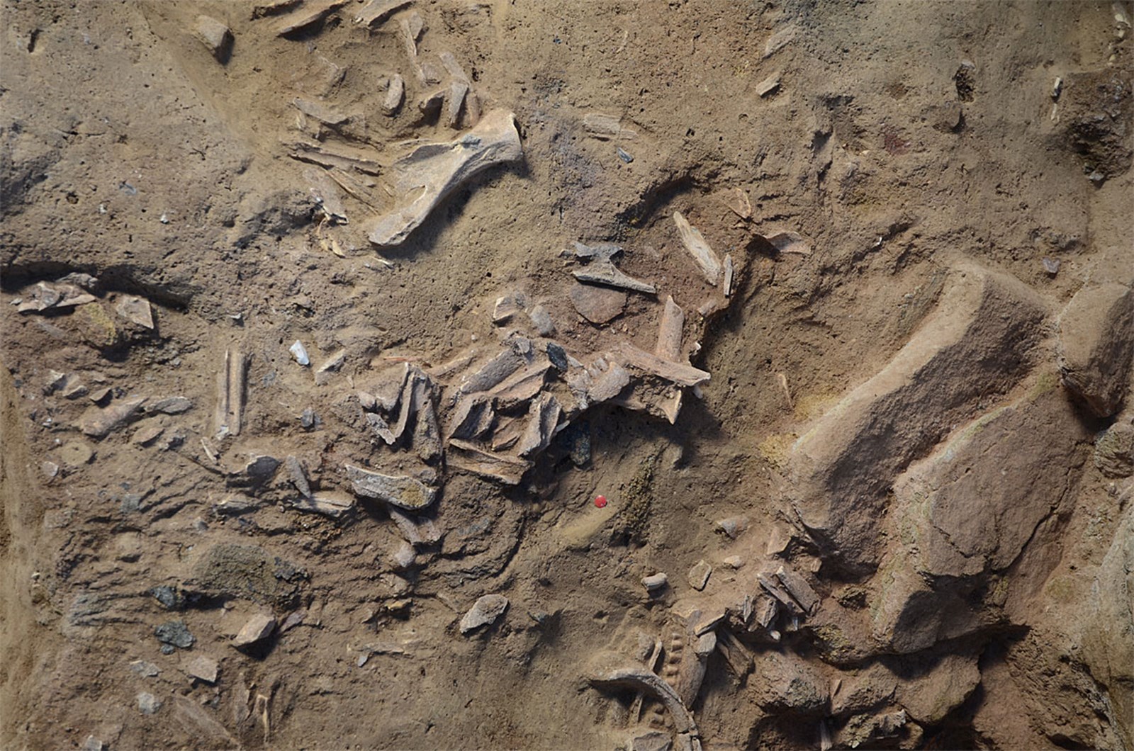 Őskőkori hűtőszekrényt találtak