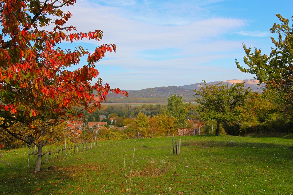Marad a vénasszonyok nyara