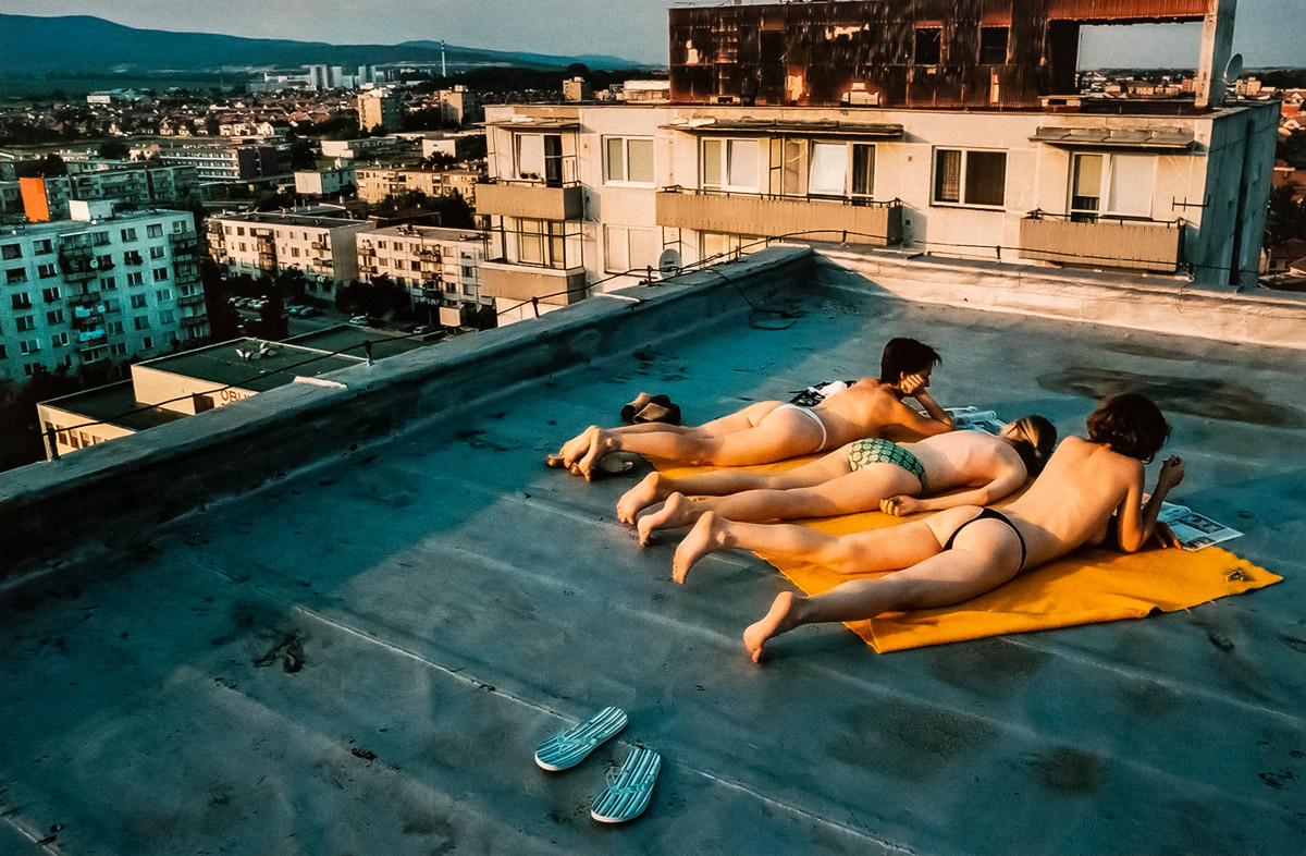 Malac a csomagtartóban