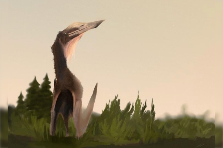 Új repülő őshüllőfajt határoztak meg