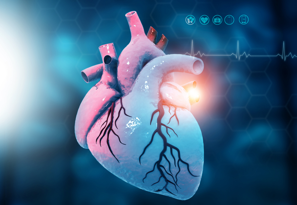 Megnő a szív- és érrendszeri halálozás kockázata a rákbetegeknél
