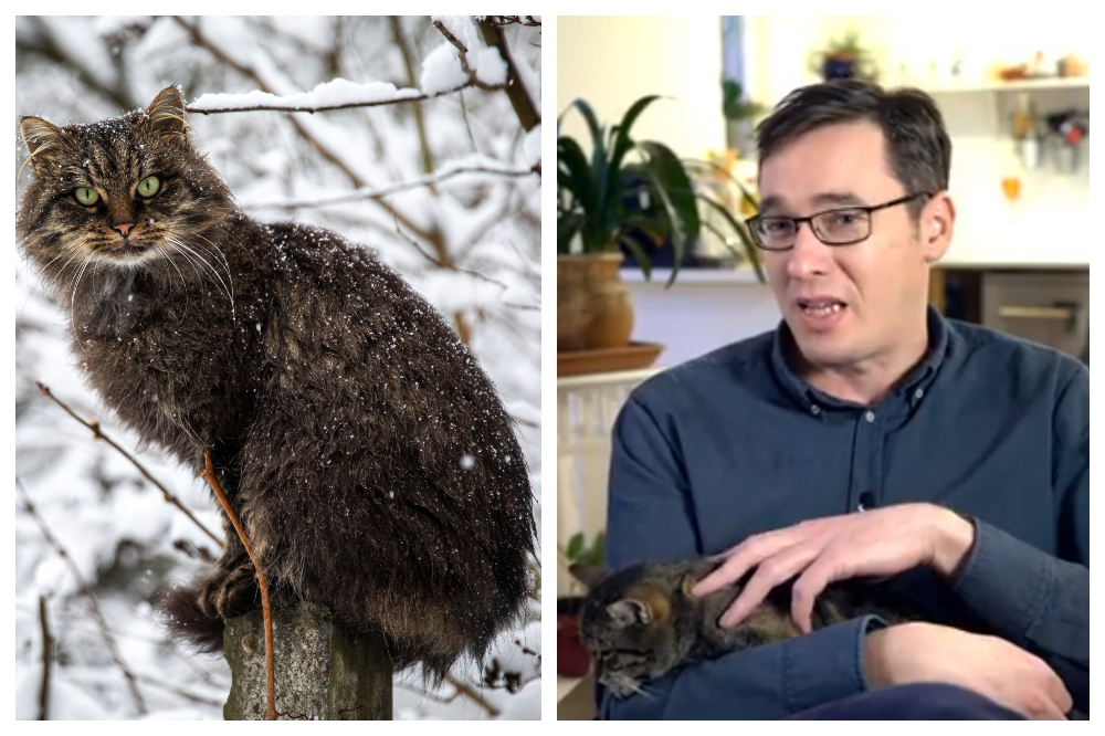 „A latyak letakarítása most még lassítaná a forgalmat”