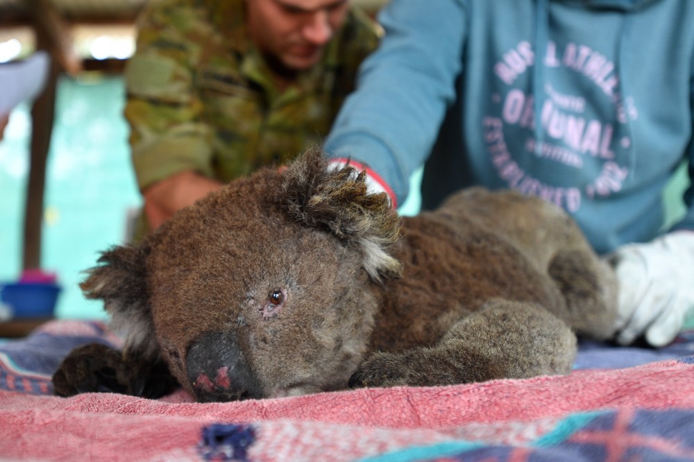 Tovább romolhat a helyzet Ausztráliában