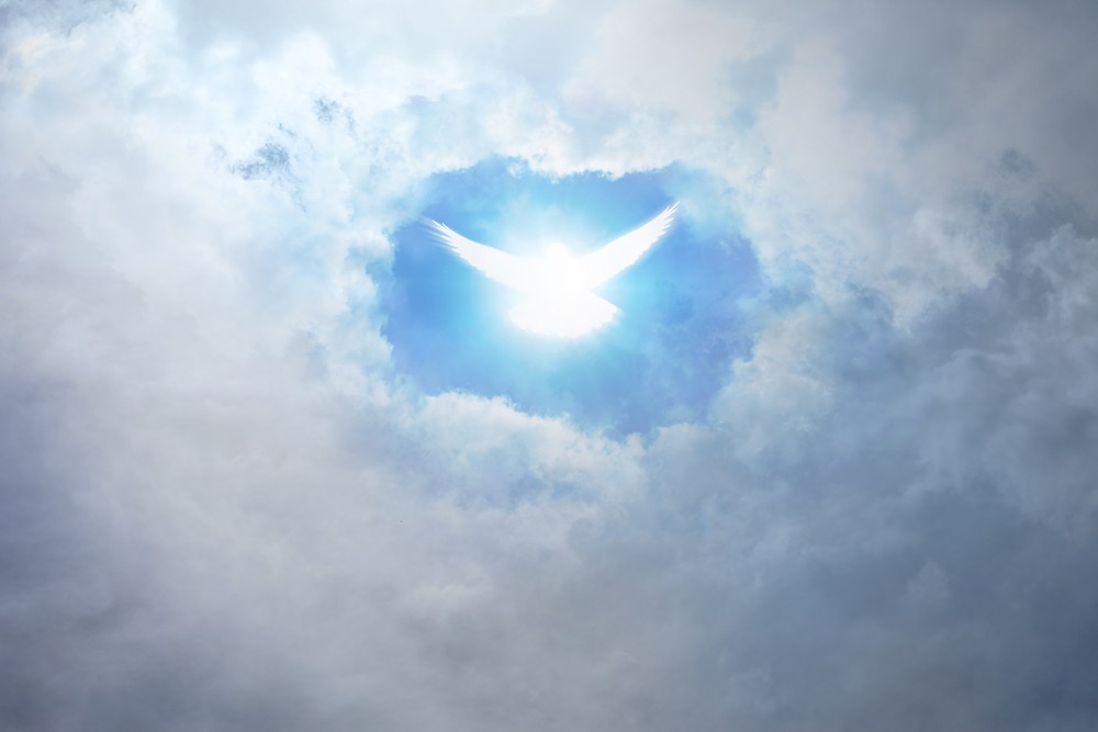 Január elseje a béke világnapja is