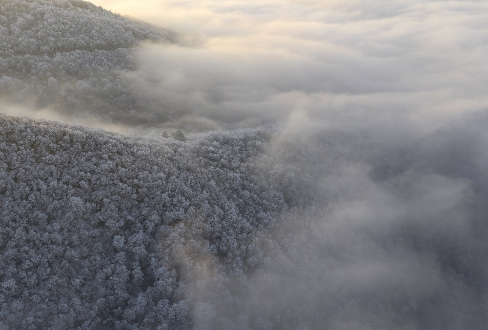 Ismét sűrű ködre kell készülni