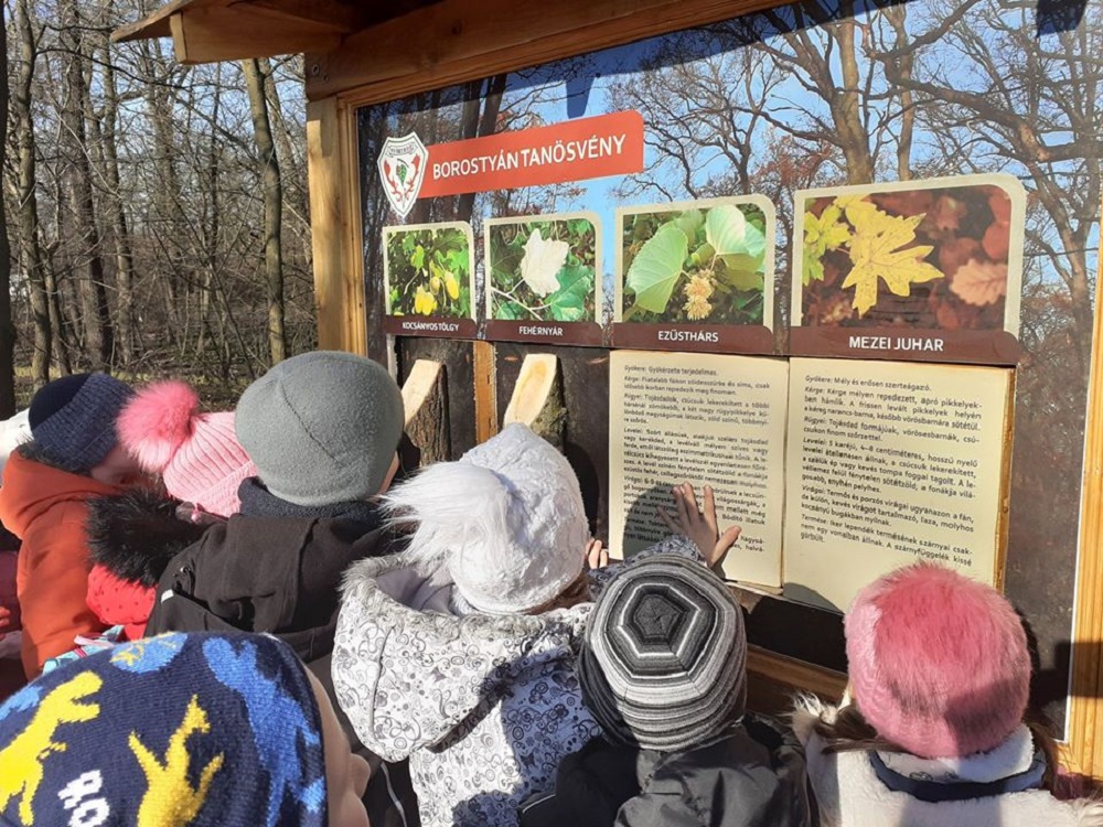 Új tanösvény a debreceni Nagyerdőben