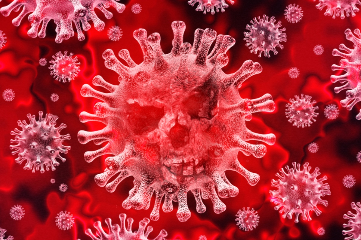 Denevérek, vírusok, migránsok