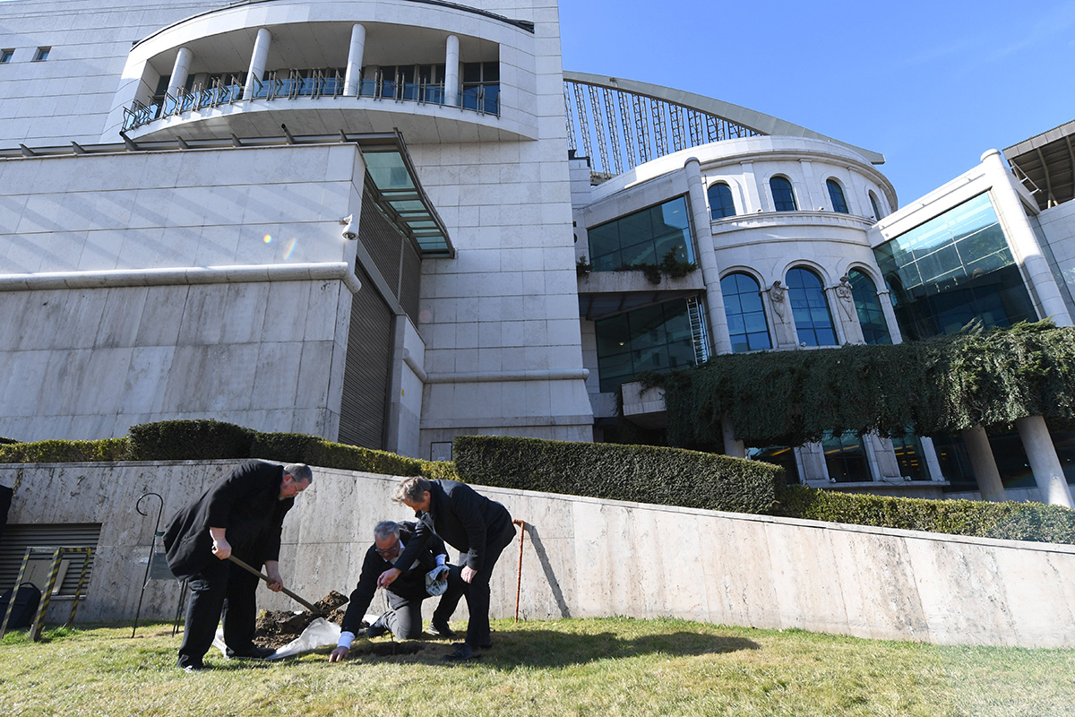 A pónyik, a trianoni emlékfa